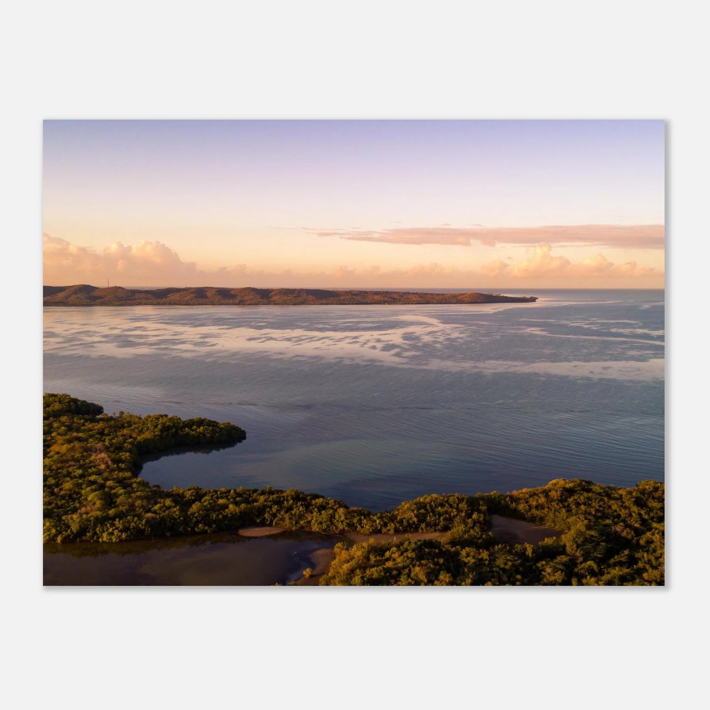 Still Waters Cabo Rojo mangroves — Fine Art Poster rolled tube packaging, open edition print Puerto Rico.