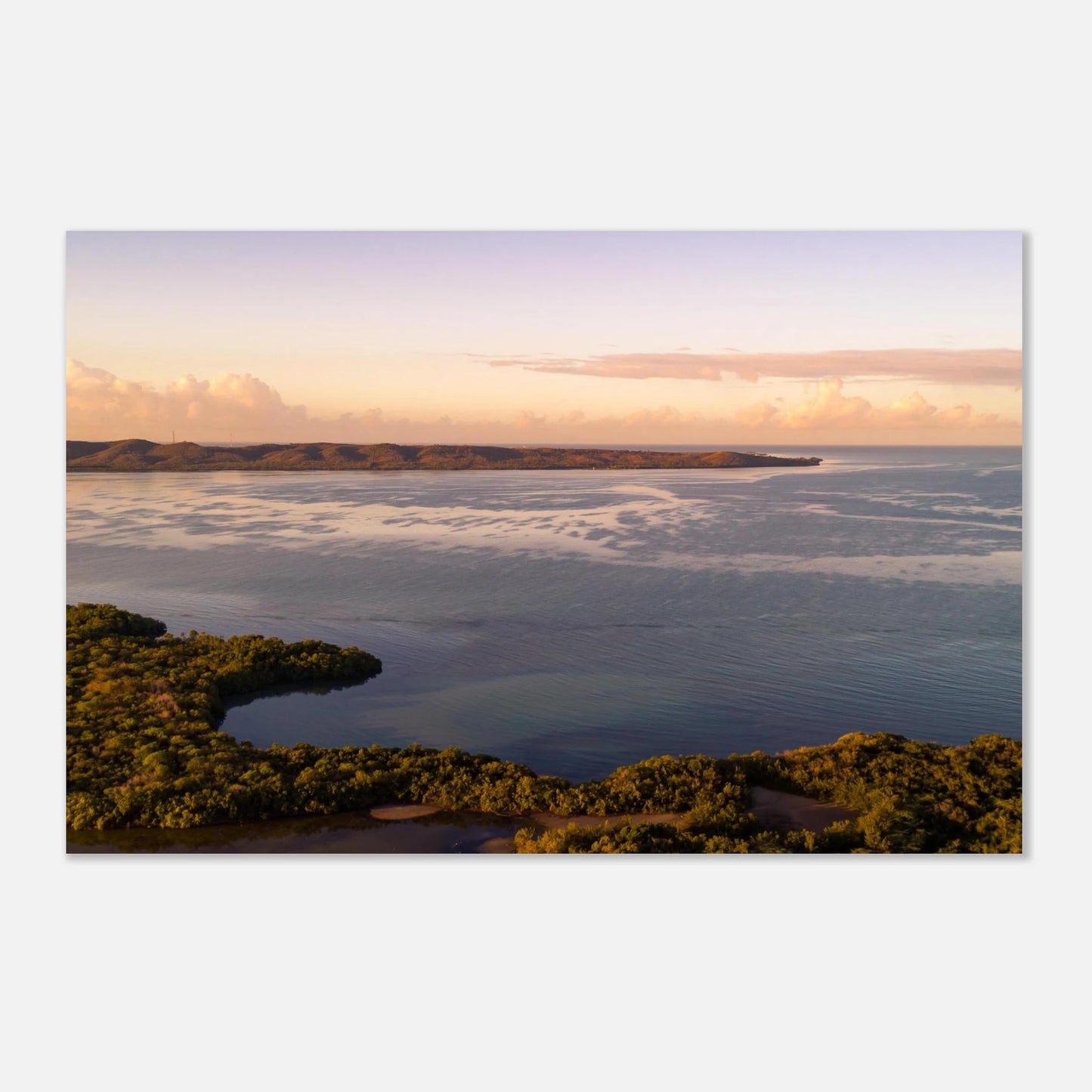 Still Waters Cabo Rojo — closeup detail of glass-still mangrove water at dawn, Puerto Rico.