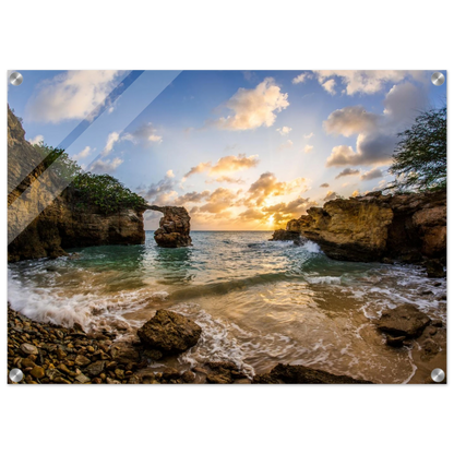 d32c2864-39ff-49b0-8426-5300117d4df0